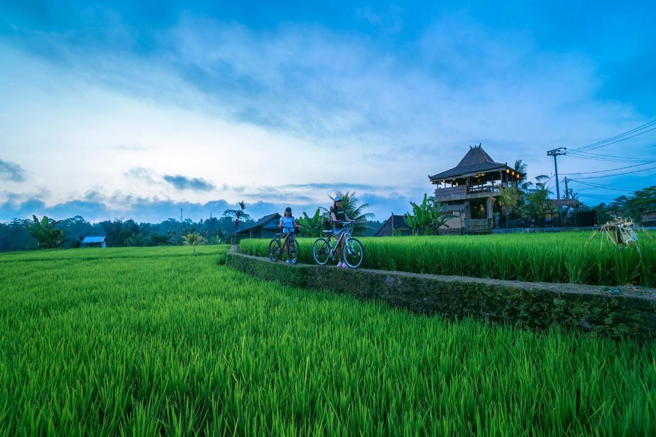 อูมาห์ โฮชิ Hotel เตกากาลัง ภายนอก รูปภาพ