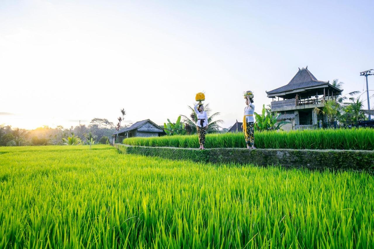 อูมาห์ โฮชิ Hotel เตกากาลัง ภายนอก รูปภาพ